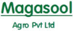 Magasool