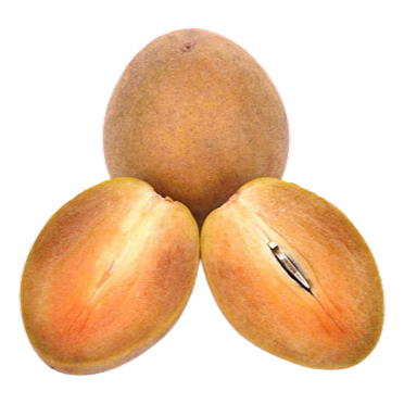 Sapota