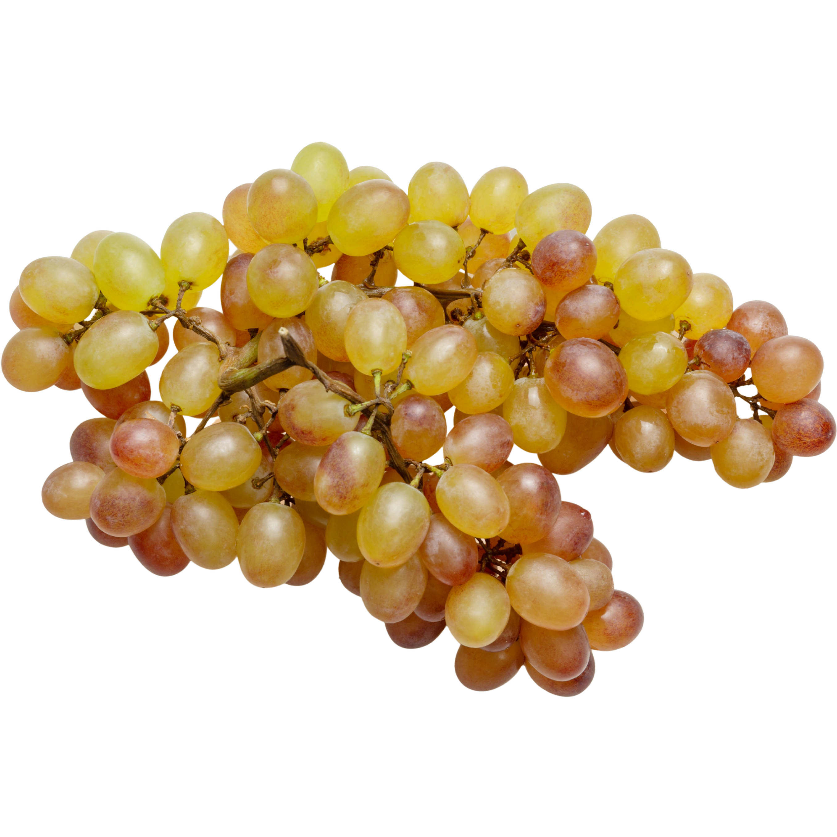 Grapes