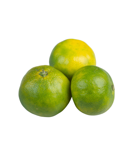 ee1e002e-b04f-490d-a778-c7dfeb1d0e8a